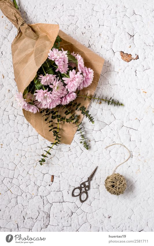Blumenmuster mit mehreren bunten Blüten elegant Stil Design Valentinstag Natur Blatt Liebe natürlich oben violett weiß Farbe Mischung Hintergrund Gestell Nelken