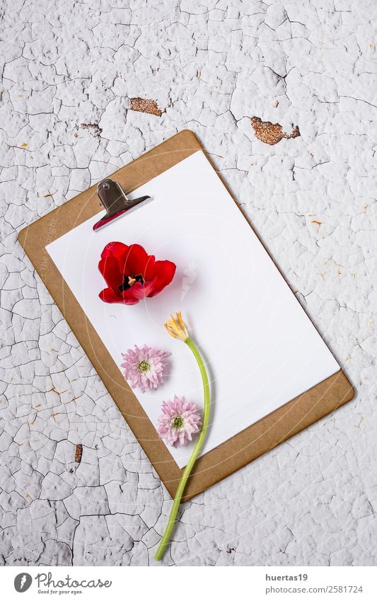 Klemmbrett mit Blumen auf weißem Hintergrund elegant Stil Design Valentinstag Wissenschaften Arbeit & Erwerbstätigkeit Büroarbeit Papier Liebe oben Originalität