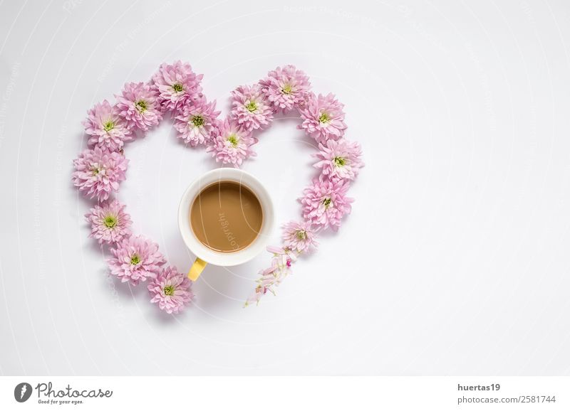 Blumenmuster mit mehreren bunten Blüten Getränk Heißgetränk Kaffee Valentinstag Natur Blatt Liebe Fröhlichkeit frisch natürlich weiß Hilfsbereitschaft Farbe