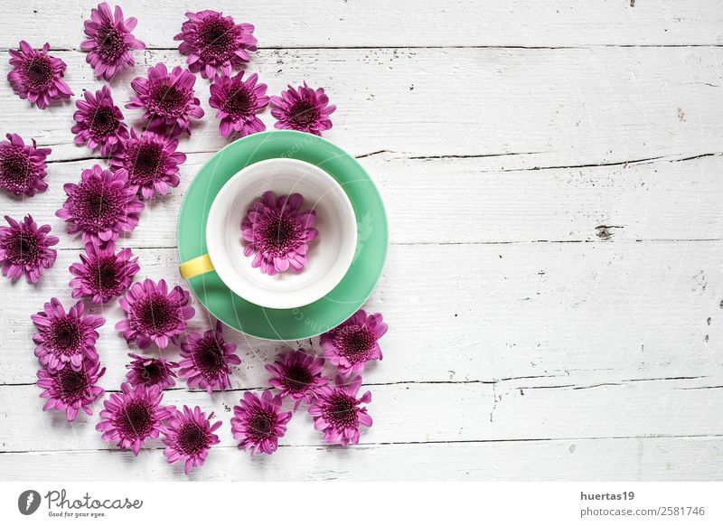 Tasse Tee mit floralem Hintergrund Becher elegant Stil Design Valentinstag Natur Pflanze Blume Blatt Blumenstrauß natürlich oben Originalität violett Liebe