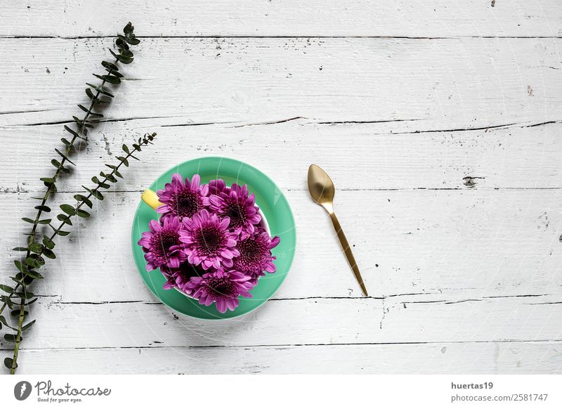 Tasse Tee mit floralem Hintergrund und grünen Blättern elegant Stil Design Valentinstag Natur Pflanze Blume Blatt Blumenstrauß natürlich oben Originalität