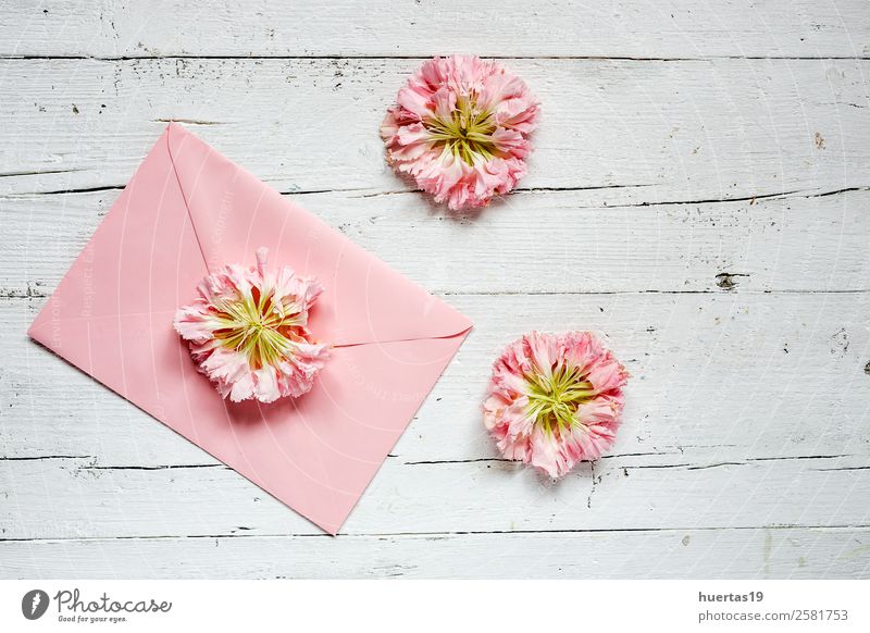 Blumen auf weißem Hintergrund. Flache Verlegung elegant Stil Design Valentinstag Geburtstag Natur Blatt Blumenstrauß Liebe Originalität rosa Leidenschaft