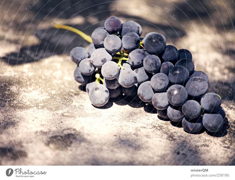 Gaumenfreud. Natur ästhetisch Wein Weinberg Weintrauben Weinlese Weinbau Rotwein Beeren lecker Zutaten Rohstoffe & Kraftstoffe edel Gesundheit Farbfoto