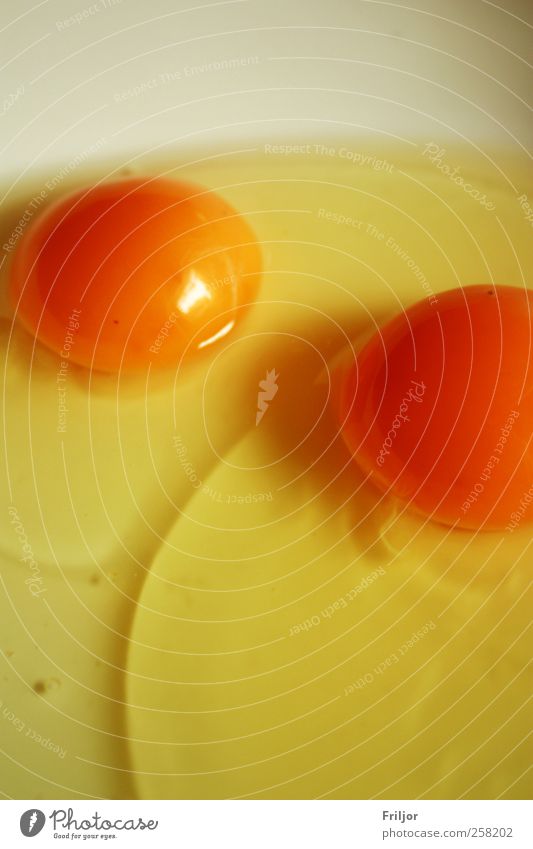 Eieiei Lebensmittel Ernährung einfach lecker rund gelb Farbfoto Innenaufnahme Nahaufnahme Menschenleer Tag Zentralperspektive