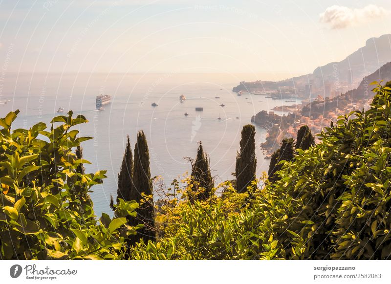 Panoramablick auf den Golf von Cap Martin und Monaco kaufen Reichtum elegant Stil exotisch Geld Segeln Umwelt Natur Landschaft Pflanze Sommer Küste Roquebrune