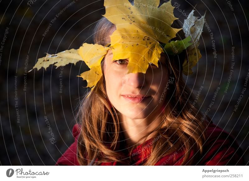 Waldwesen Freiheit feminin Frau Erwachsene 1 Mensch 18-30 Jahre Jugendliche Herbst Blatt Blätterkrone Stirnband brünett langhaarig Krone Lächeln Blick