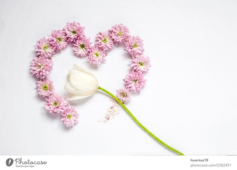 Herzrahmenmuster mit Blumen, Valentinstag Natur Pflanze Blumenstrauß natürlich oben Originalität grün rosa weiß Liebe Romantik Farbe Hintergrund Rahmen Dekor