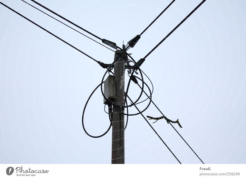 Verkabelt und aufgefangen Strommast Energiewirtschaft Himmel Kontakt Elektrizität Leitung Farbfoto Außenaufnahme Menschenleer Tag Blick nach oben