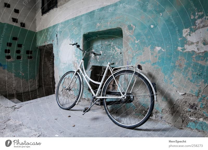 Drahtesel im Stall Mauer Wand Fahrrad warten alt ästhetisch trashig weiß geheimnisvoll Nostalgie Verfall Vergangenheit Vergänglichkeit türkis verfallen Patina