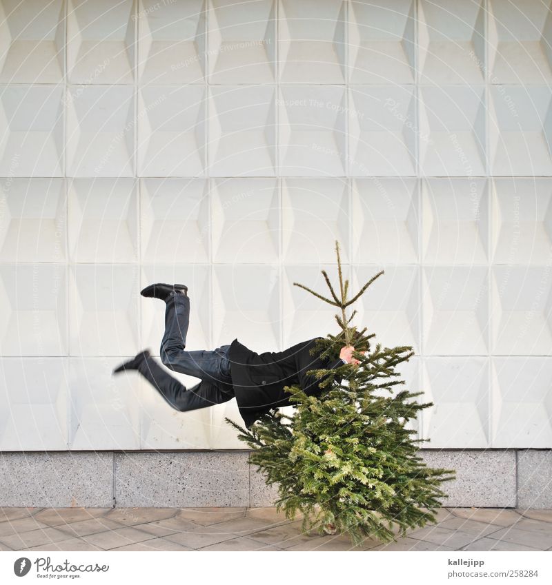 knut schlussverkauf Feste & Feiern Weihnachten & Advent Mensch Leben 1 Umwelt Natur Baum Mauer Wand Zeichen springen Weihnachtsbaum Baumschmuck Tanne
