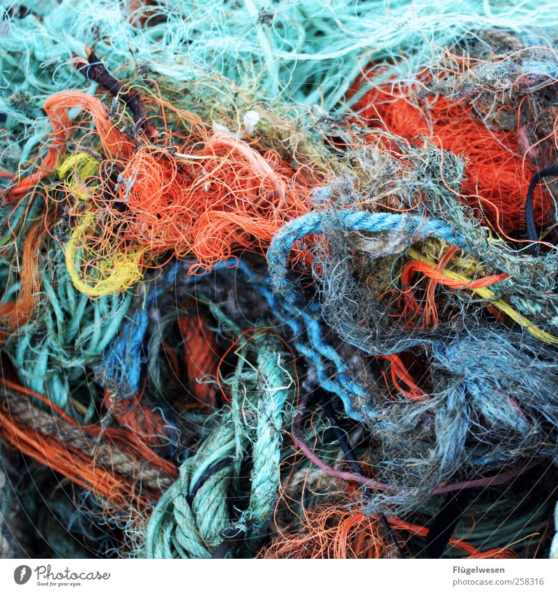Netzwerk einrichten Fischereiwirtschaft Fischernetz Farbfoto Außenaufnahme Tag Rest mehrfarbig Müll Umweltverschmutzung