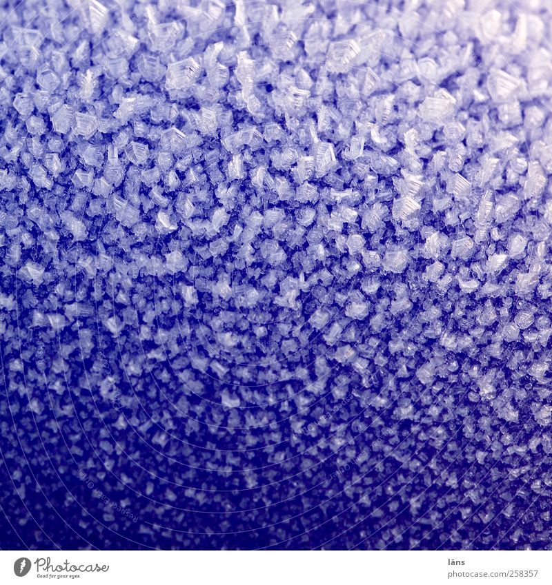 kristallblau Winter frieren weiß Eiskristall Schneekristall knackig Minusgrade Farbfoto Außenaufnahme Menschenleer