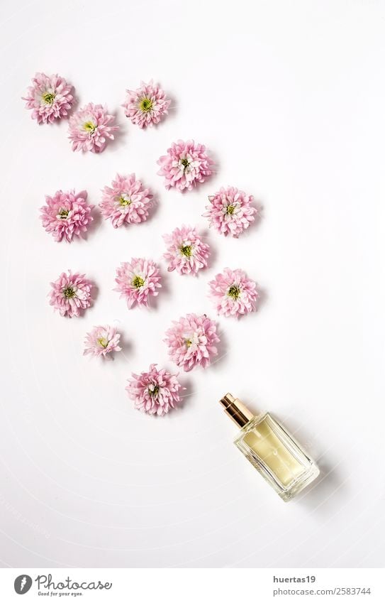 Flasche mit Duftstoff, die Blumen hervorbringt. elegant Stil Design Körperpflege Schminke Valentinstag Natur Pflanze Blumenstrauß natürlich oben Originalität