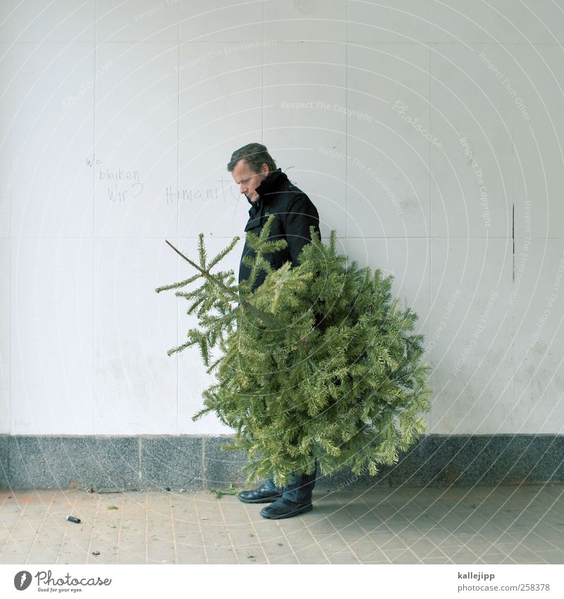 bye bye knut Mensch maskulin Mann Erwachsene 1 30-45 Jahre Umwelt Natur Pflanze Baum stehen Weihnachtsbaum Weihnachten & Advent Abschied Nadelbaum Tanne