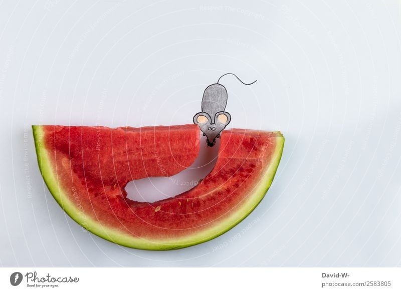 Tunnelblick Lebensmittel Frucht Ernährung Essen elegant Stil Gesundheitswesen Zufriedenheit Körper Kunst Umwelt Tier Maus 1 Denken Zeichnung selbstgemacht