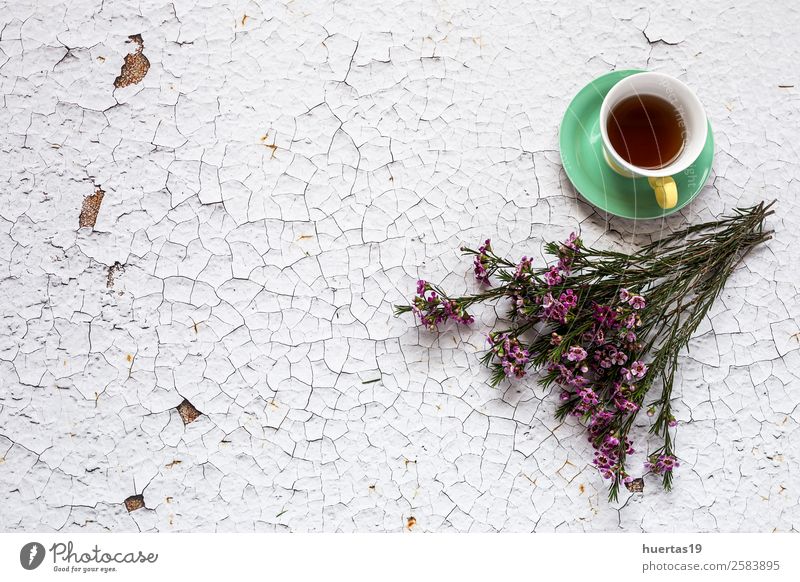 Tasse Tee mit floralem Hintergrund und grünen Blättern Getränk Heißgetränk elegant Stil Design Valentinstag Natur Pflanze Blume Blatt Blumenstrauß lecker