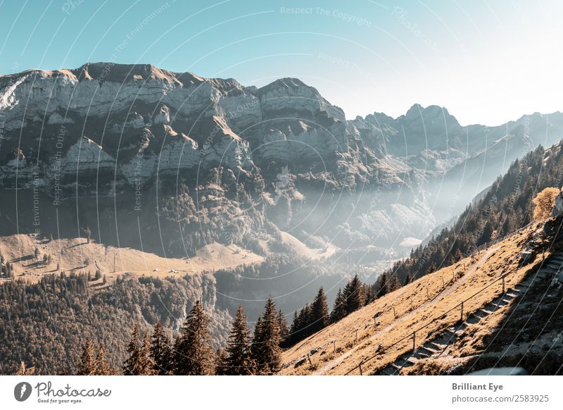 Es wird Abend im Alpstein Ferien & Urlaub & Reisen Tourismus Berge u. Gebirge wandern Umwelt Natur Landschaft Herbst Nebel Hügel Gipfel Unendlichkeit natürlich