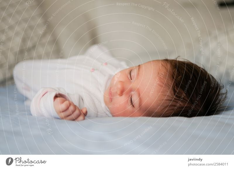 Neugeborenes Babymädchen schläft zu Hause auf blauem Laken Glück schön Gesicht Leben Kind Mädchen Kindheit 1 Mensch 0-12 Monate schlafen klein niedlich weiß