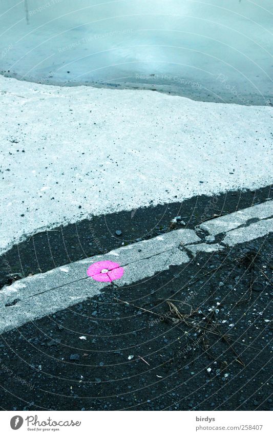 pinkpoint Wege & Pfade Bordsteinkante Beton Wasser Zeichen Schilder & Markierungen leuchten rosa ästhetisch Stadt Punkt 1 Begrenzung 3 Vermessungspunkt