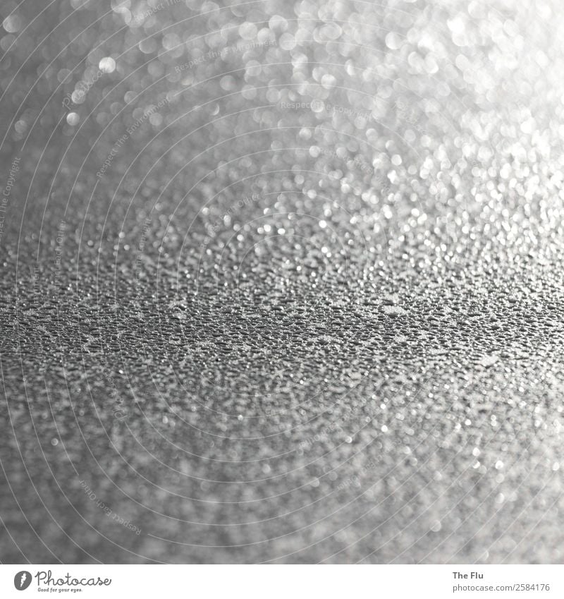 Silberglanz Wasser Wassertropfen Sonnenlicht Regen fantastisch Flüssigkeit kalt nass grau schwarz weiß Tau Gegenlicht Reflexion & Spiegelung Makroaufnahme