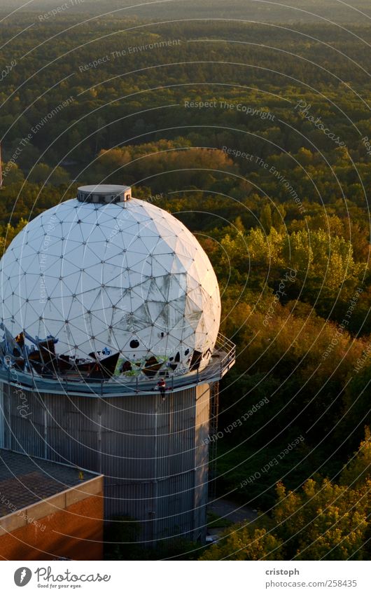 Relikt lesen Freiheit Wald Menschenleer Ruine Turm Observatorium Architektur entdecken Erholung verfallen Verfall Radarstation Farbfoto Außenaufnahme Abend