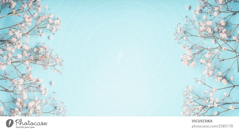 Hellblauer Hintergrund mit kleine weiße Blümchen elegant Stil Design Dekoration & Verzierung Feste & Feiern Muttertag Hochzeit Geburtstag Natur Pflanze Blume