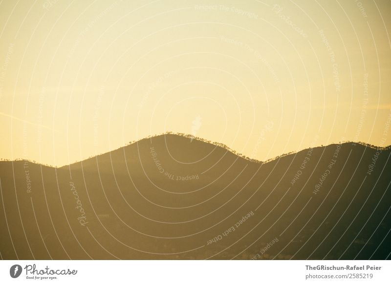 Hügel Natur Landschaft braun gelb gold Sonnenuntergang Cinque Terre Italien Baum Silhouette Wald Farbfoto Menschenleer Textfreiraum oben Textfreiraum unten