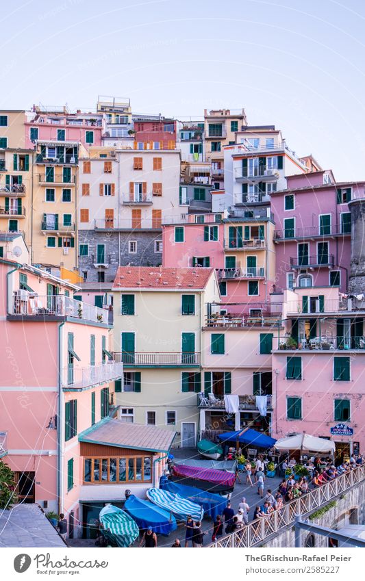 Manarola Dorf Fischerdorf blau mehrfarbig violett rosa weiß Cinque Terre Italien Haus eng Fenster geschätzt Wasserfahrzeug Fischerboot Tourismus Reisefotografie
