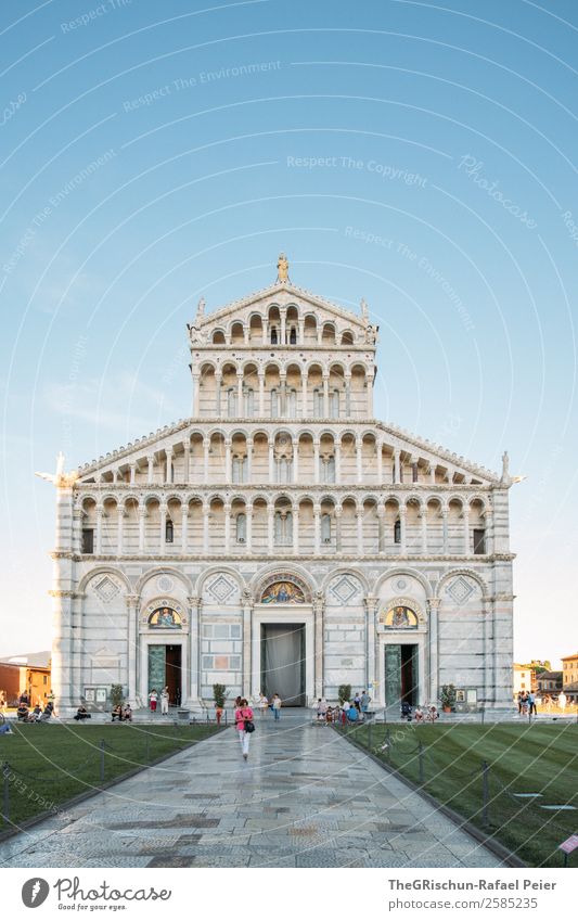 Pisa Stadt grün weiß Italien Ferien & Urlaub & Reisen Religion & Glaube Gebäude beeindruckend Kirche Dom Rasen Tourismus geschätzt Stimmung Farbfoto