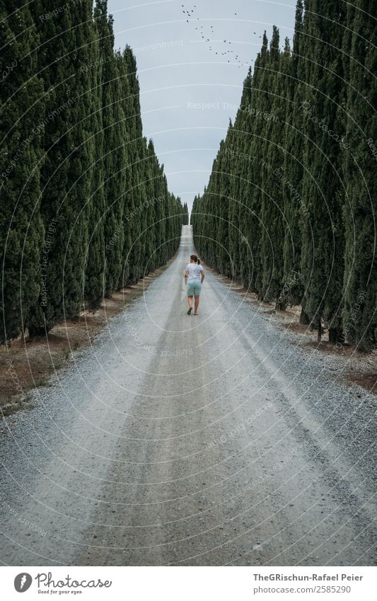 Italien Landschaft grau grün Toskana Reisefotografie Allee Wege & Pfade laufen Frau Baum Zypresse Kies Wolken Farbfoto Textfreiraum oben Textfreiraum unten Tag