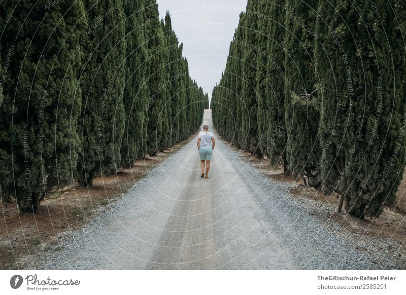 Zypressen Allee Landschaft grau grün Baum Perspektive Frau laufen Straße Zukunft Blick nach vorn Italien Toskana Ferien & Urlaub & Reisen Reisefotografie