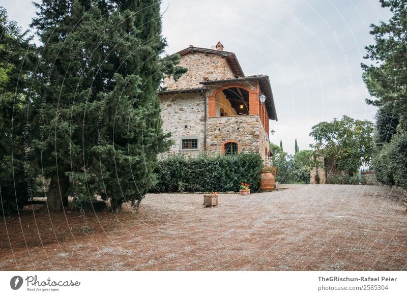 Anwesen Landschaft braun grau grün schwarz Toskana Baum Italien Architektur Italienisch Häusliches Leben Unterkunft ästhetisch Farbfoto Außenaufnahme