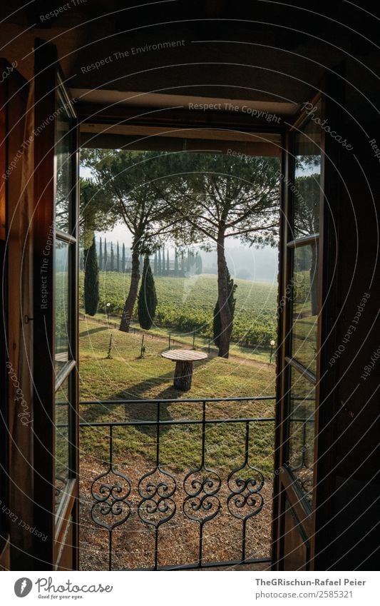 Aussicht Landschaft braun grün Toskana Unterkunft Raum Italien Baum Allee Wein Morgen Nebel Fenster Farbfoto Außenaufnahme Innenaufnahme Textfreiraum oben