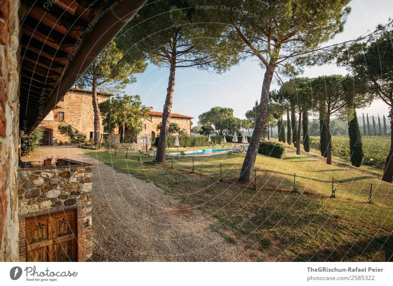Traum Landschaft blau braun grau grün Baum Aussicht Unterkunft Schwimmbad Allee Toskana Italien Reisefotografie genießen ruhig schlafen entdecken
