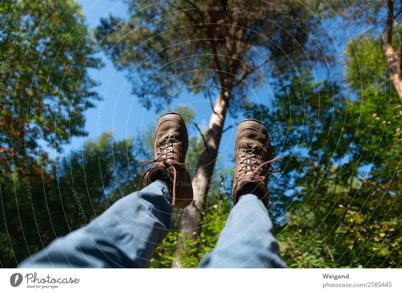 Wanderhimmel Sport wandern Fuß 1 Mensch Umwelt Natur Himmel Sommer Herbst Baum laufen fantastisch sportlich blau Fairness fleißig diszipliniert Wald Spaziergang