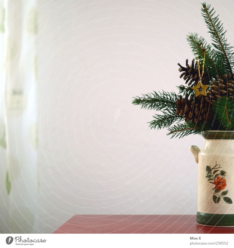 Nachzügler Dekoration & Verzierung Tisch Blatt gold Vase Weihnachtsbaum Weihnachtsdekoration Stern (Symbol) Vorhang Tannenzweig Zapfen Farbfoto Innenaufnahme