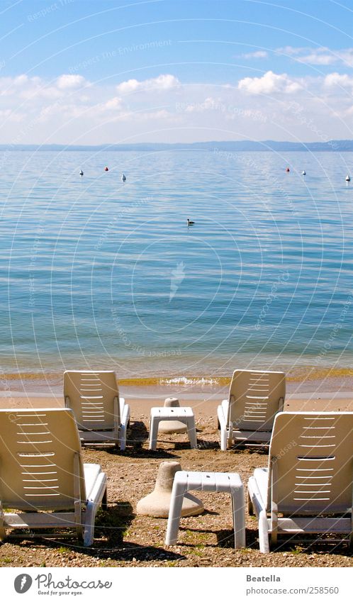 Die Ruhe am See Umwelt Landschaft Wasser Schönes Wetter Seeufer Gardasee Liegestuhl Kunststoff Zufriedenheit Außenaufnahme Tag Sonnenlicht