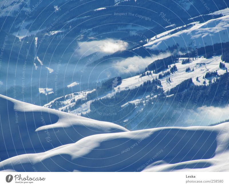 Schneewelten 2 Landschaft Winter Schönes Wetter Nebel Wald Alpen Menschenleer blau schwarz weiß Aussicht Gedeckte Farben Außenaufnahme Licht Schatten