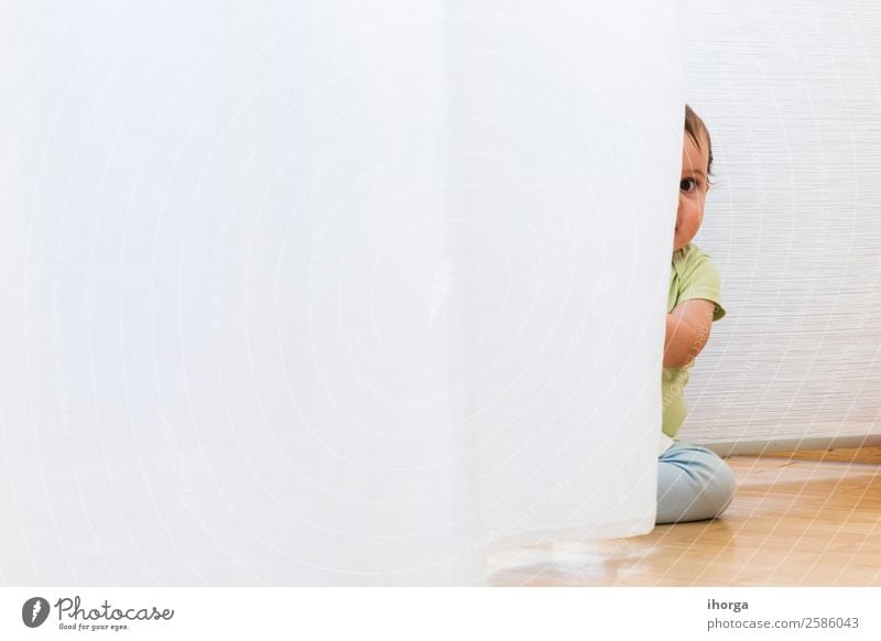 Baby spielt und versteckt sich mit weißen Vorhängen. Freude Glück schön Gesicht Spielen Kind Mensch Kleinkind Junge Kindheit 1 0-12 Monate krabbeln sitzen