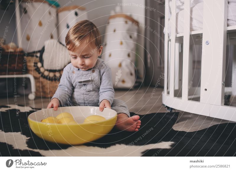 süßes glückliches Baby Junge spielt mit Teller mit Zitronen Lifestyle Stil Glück Spielen Winter Schlafzimmer Kind Kindheit Wärme Pullover sitzen klein modern