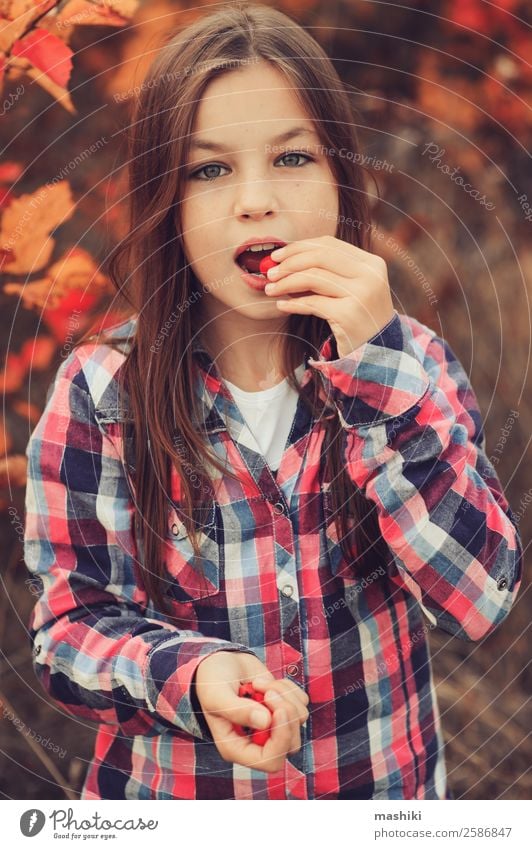 glückliches Kind Mädchen isst Beeren Freude schön Erholung Spielen Ferien & Urlaub & Reisen Sommer Frau Erwachsene Kindheit Natur Herbst Wald Hemd Lächeln