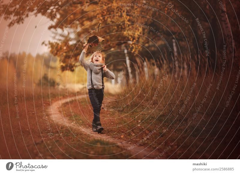glückliches Kind Mädchen geht im Herbst spazieren Mensch Natur Baum Park Wald Lächeln laufen Abenteuer Kindheit Freude Jahreszeiten Spielen lustig Glück