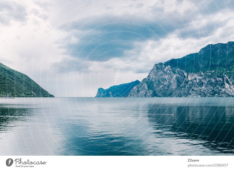 Gardasee | Natur | Wasser Landschaft Himmel Wolken Herbst schlechtes Wetter Berge u. Gebirge Seeufer dunkel kalt nachhaltig natürlich ruhig Einsamkeit Erholung