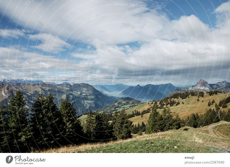 Aussicht vom Hoch-Ybrig Umwelt Natur Landschaft Sommer Schönes Wetter Alpen Berge u. Gebirge natürlich blau grün Tourismus Schweiz Vierwaldstätter See