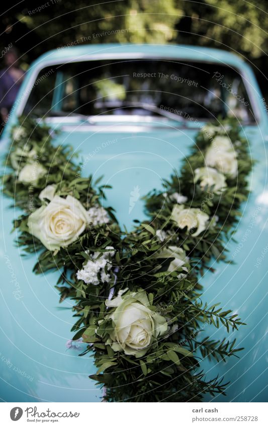 wedding car Lifestyle elegant ästhetisch positiv Wärme blau grün Hochzeit PKW Oldtimer Blumenkranz Rose Detailaufnahme Farbfoto mehrfarbig Außenaufnahme