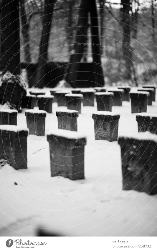 kalter winter Schnee Grabstein Beerdigung Stein grau schwarz weiß trösten ruhig Traurigkeit Tod Einsamkeit Stress Endzeitstimmung Frieden Schwarzweißfoto