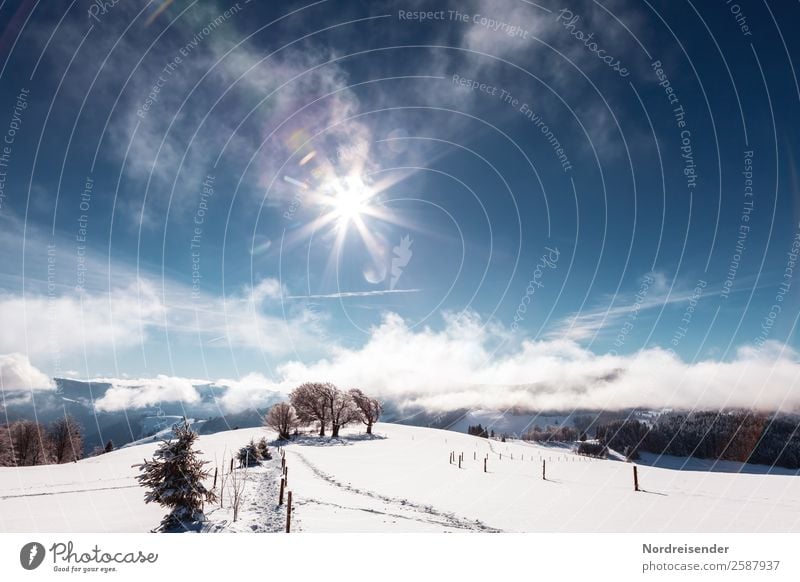 Winterfreuden Ferien & Urlaub & Reisen Tourismus Schnee Winterurlaub Berge u. Gebirge Wintersport Natur Landschaft Urelemente Himmel Wolken Sonne Sonnenlicht
