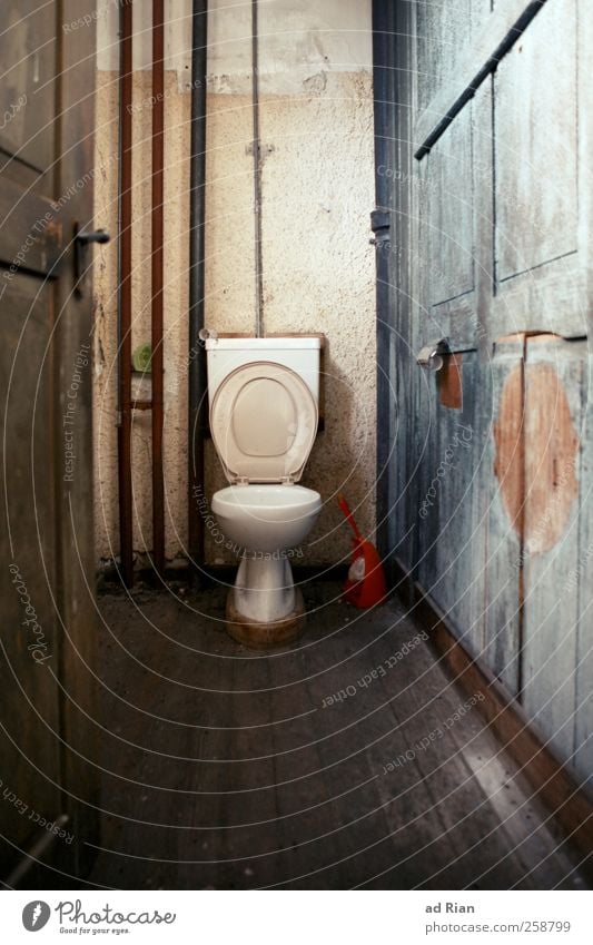 ein Thron fürs Volk! Hütte Fabrik Gebäude Architektur Mauer Wand Tür Toilette Toilettenbürste Toilettenpapier Holz alt ästhetisch Ekel gruselig Erholung Idylle