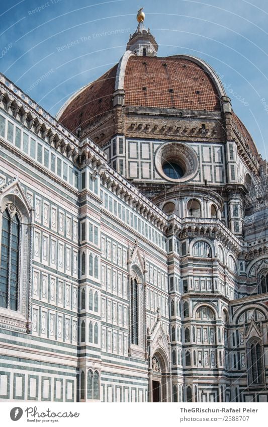 Florenz Stadt blau braun Kathedrale Santa Maria del Fiore Italien geschätzt touristisch Tourist Tourismus Kirche Religion & Glaube Detailaufnahme Kunstwerk