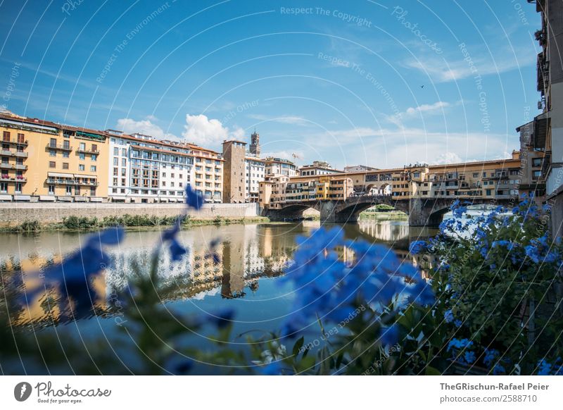 Florenz Stadt blau Tourismus Blume Wasser Reflexion & Spiegelung Brücke geschätzt Spaziergang Wolken Gebäude Italien Ferien & Urlaub & Reisen Farbfoto